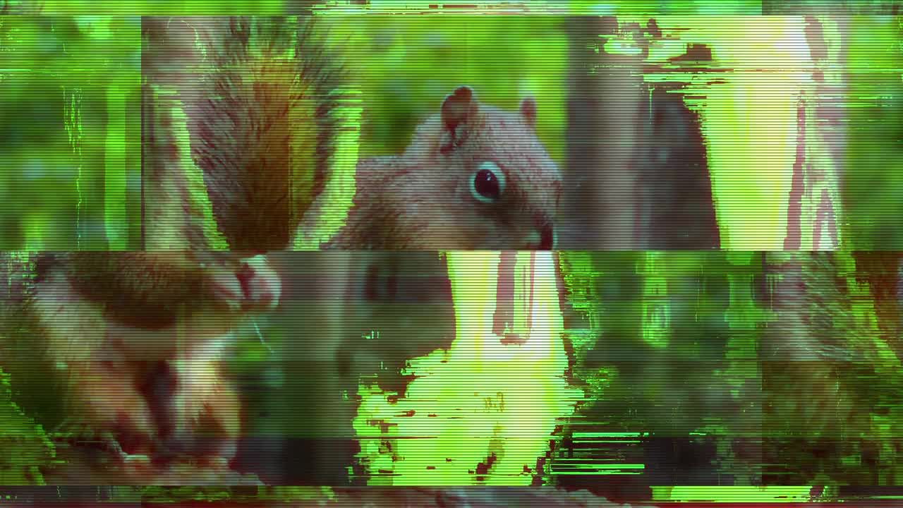 10个故障转换素材库精选AE模板