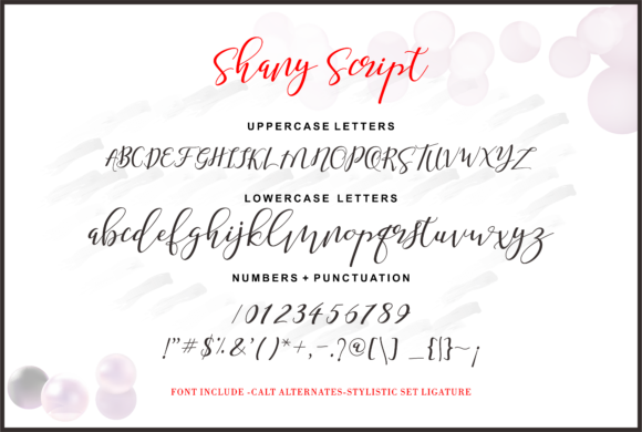 Shany Font插图7