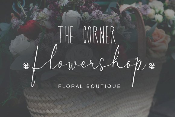 Albino Lovebird – Font Duo插图2