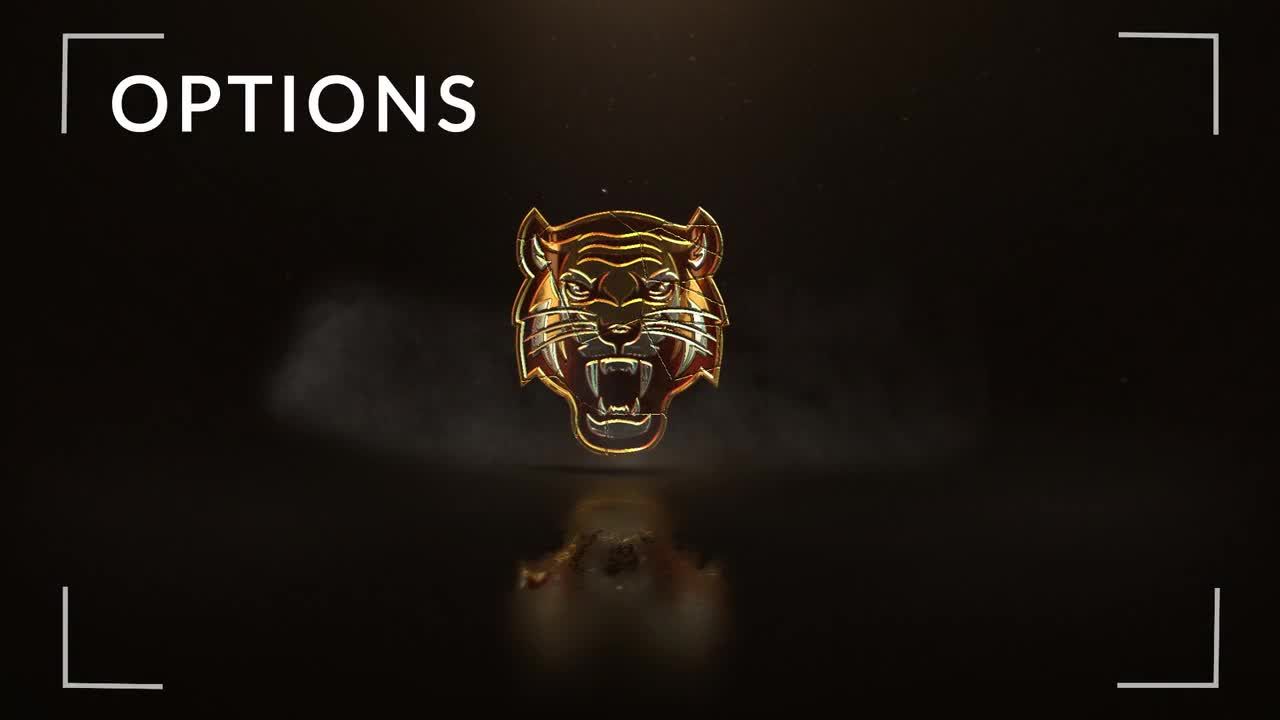 外观酷炫动画效果极佳的Logo展示素材库精选AE模板