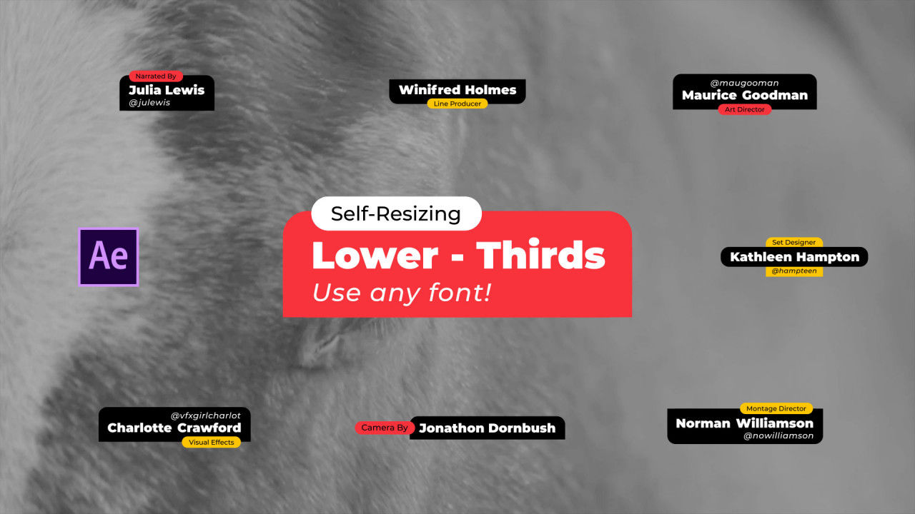 动态下三分之一社交媒体自动缩放标题素材库精选AE模板