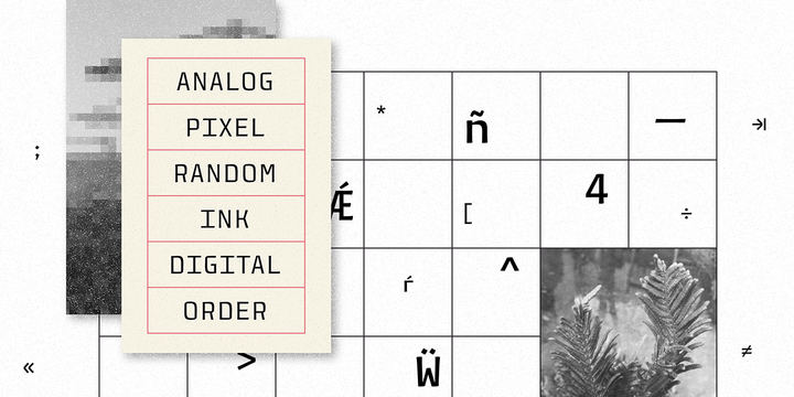 Monogamma Font Family插图2