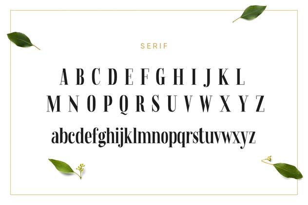 二重奏连体英文＆衬线字体 Lemonade Fonts Duo插图(12)