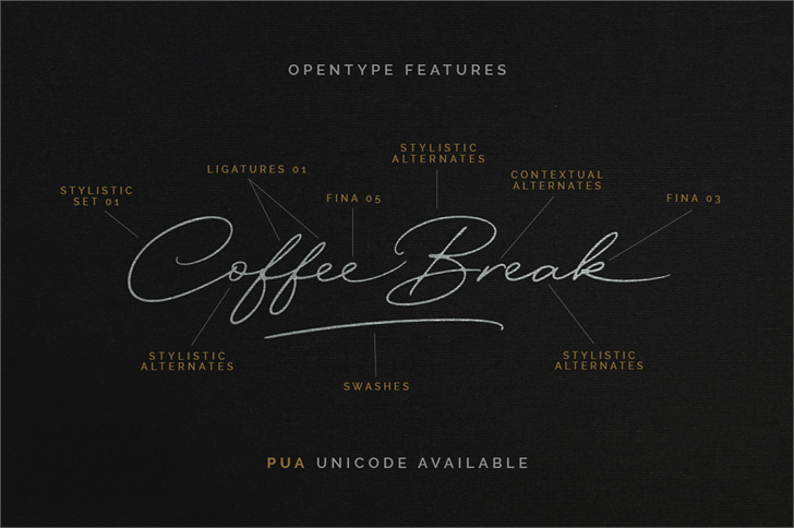 Excellent Signature Demo font插图4