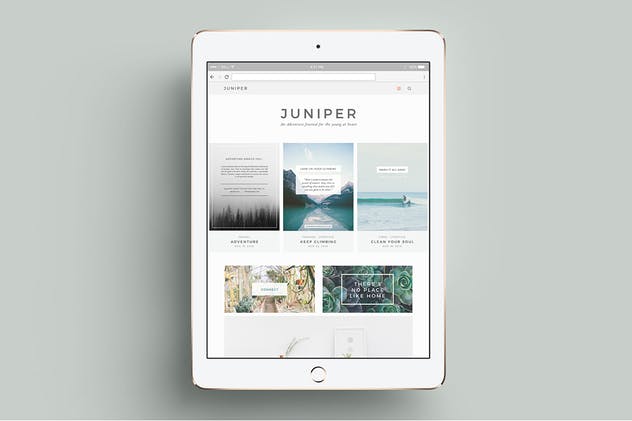 社交媒体Banner＆贴图＆版式设计模板素材库精选合集 J U N I P E R Social Media BUNDLE插图(8)