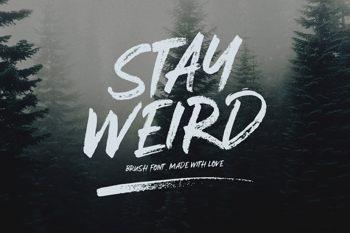 Stay Weird – Brush Font + Swashes插图