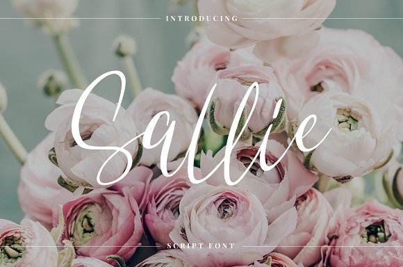 Sallie Font素材之家精选英文字体