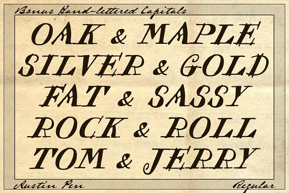 Austin Pen Bold插图4