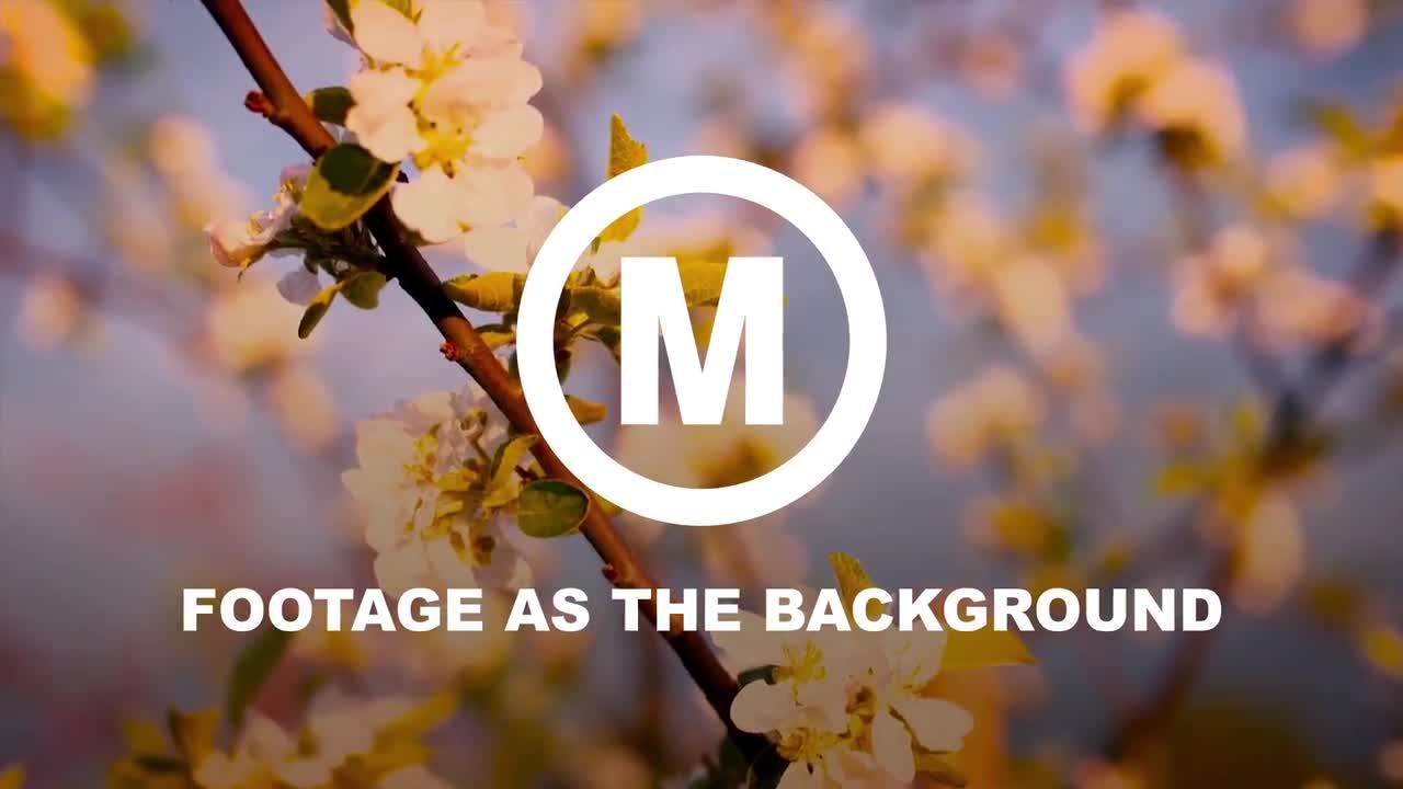 整洁的动态动画飞行形状徽标显示素材库精选AE模板