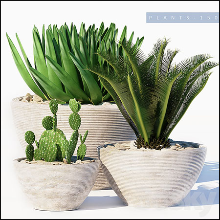 芦荟、仙人掌和铁树绿色植物素材之家精选3D模型
