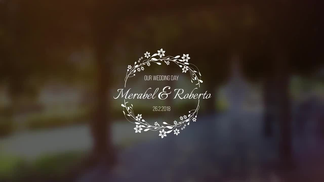 婚礼纪念日标题动画素材库推荐PR模板