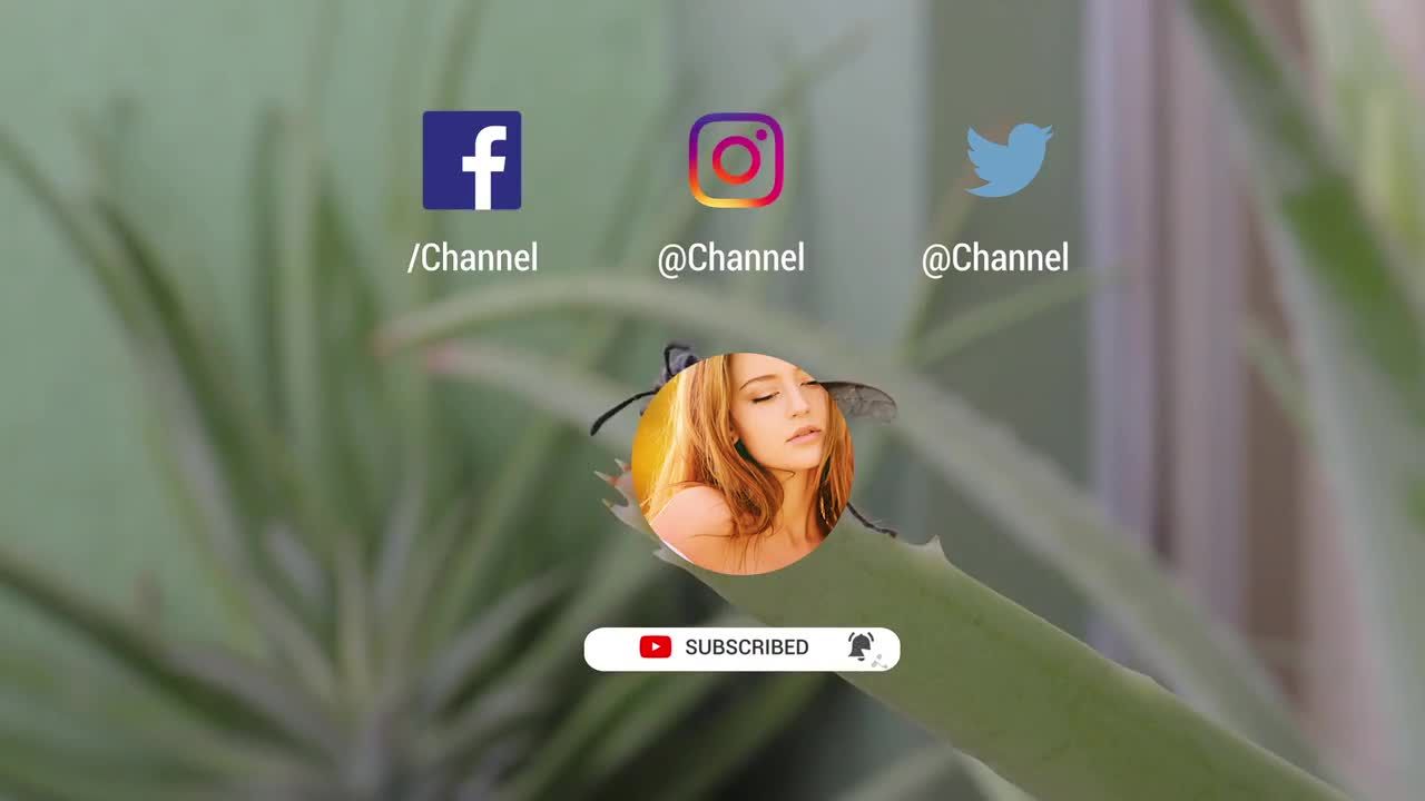 时尚的Youtube结束屏幕订阅面板素材库精选pr模板