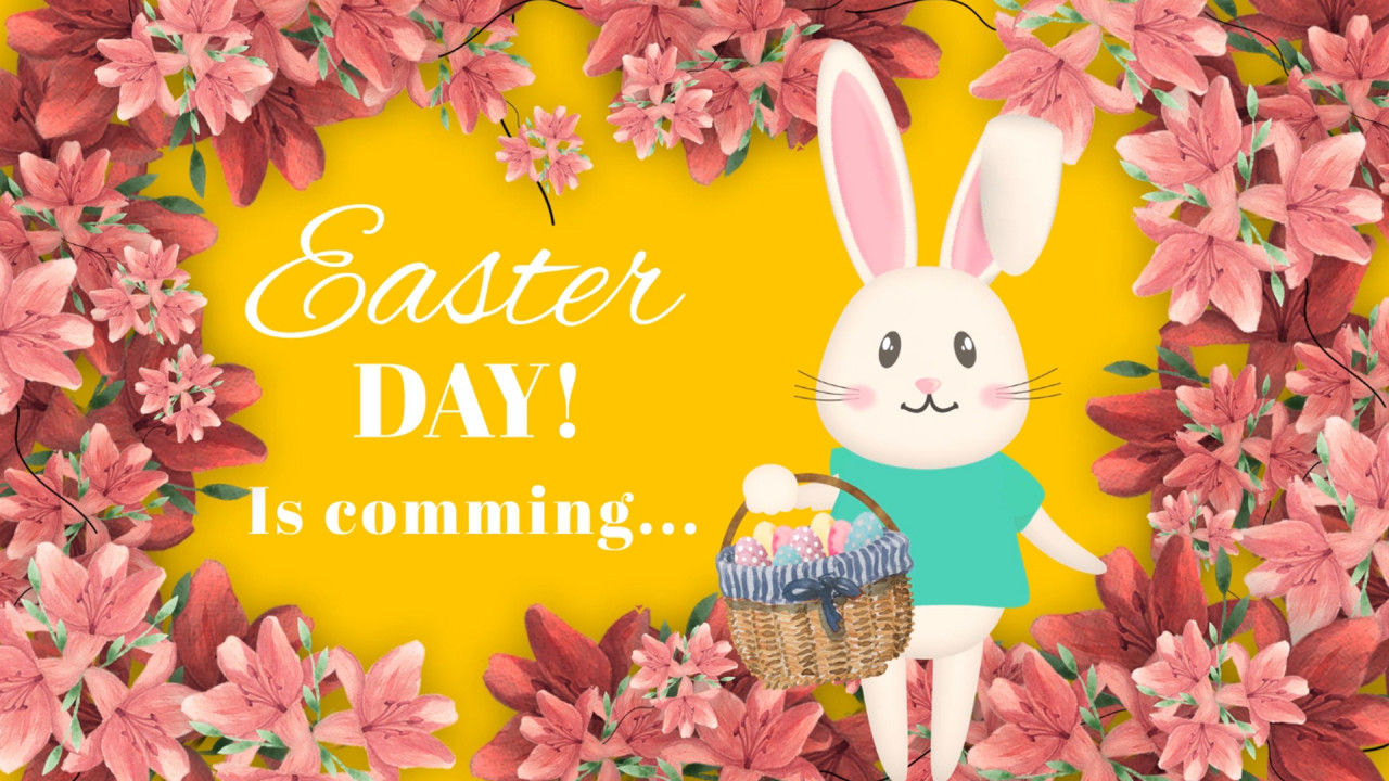 复活节快乐宣传动画素材库精选AE模板