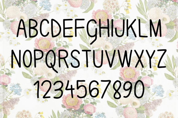 Karla Camila Font插图1