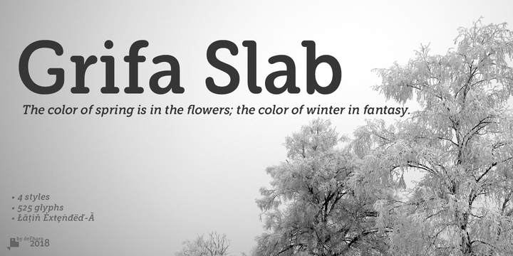 Grifa Slab Font Family插图