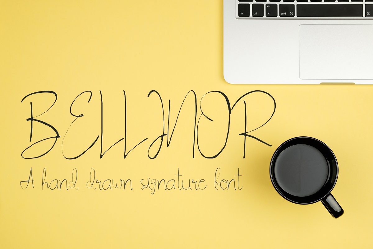 Blinor A Hand Drawn Signature Font插图