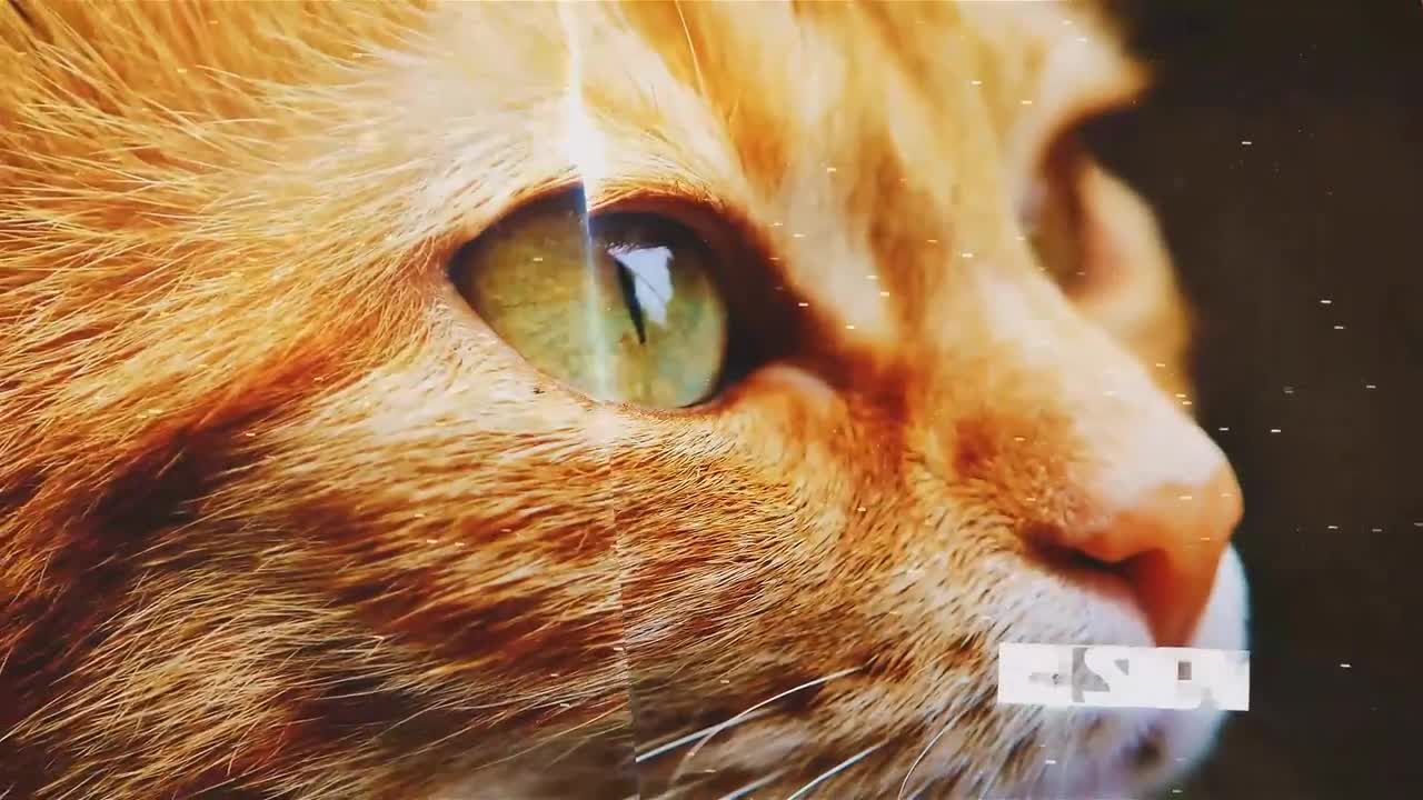 万花筒幻灯片照片展示素材库精选AE模板