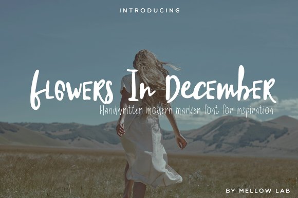 Flowers In December Font Duo素材之家精选英文字体