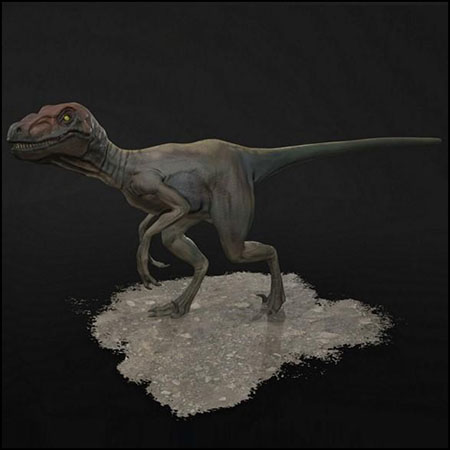 Raptor恐龙素材之家精选3D模型