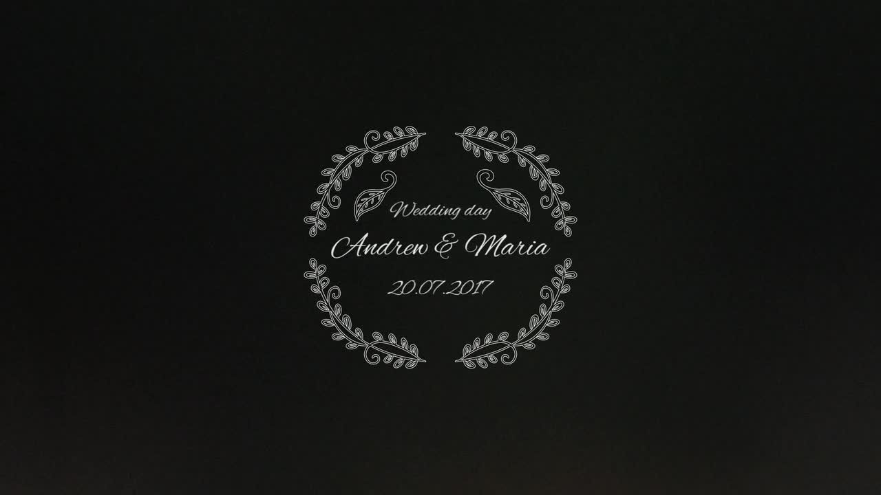 独特的婚礼标题动画素材库精选pr模板