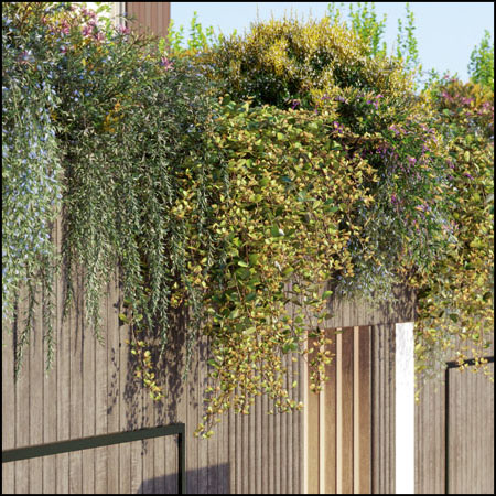 15种常见的藤蔓和爬山虎植物素材之家精选3D模型