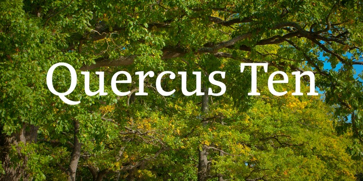 Quercus 10 Font Family插图