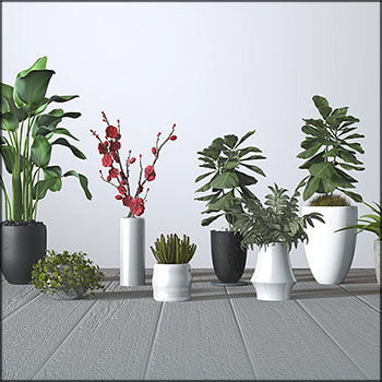 现代绿色植物盆栽盆景素材之家精选3D模型