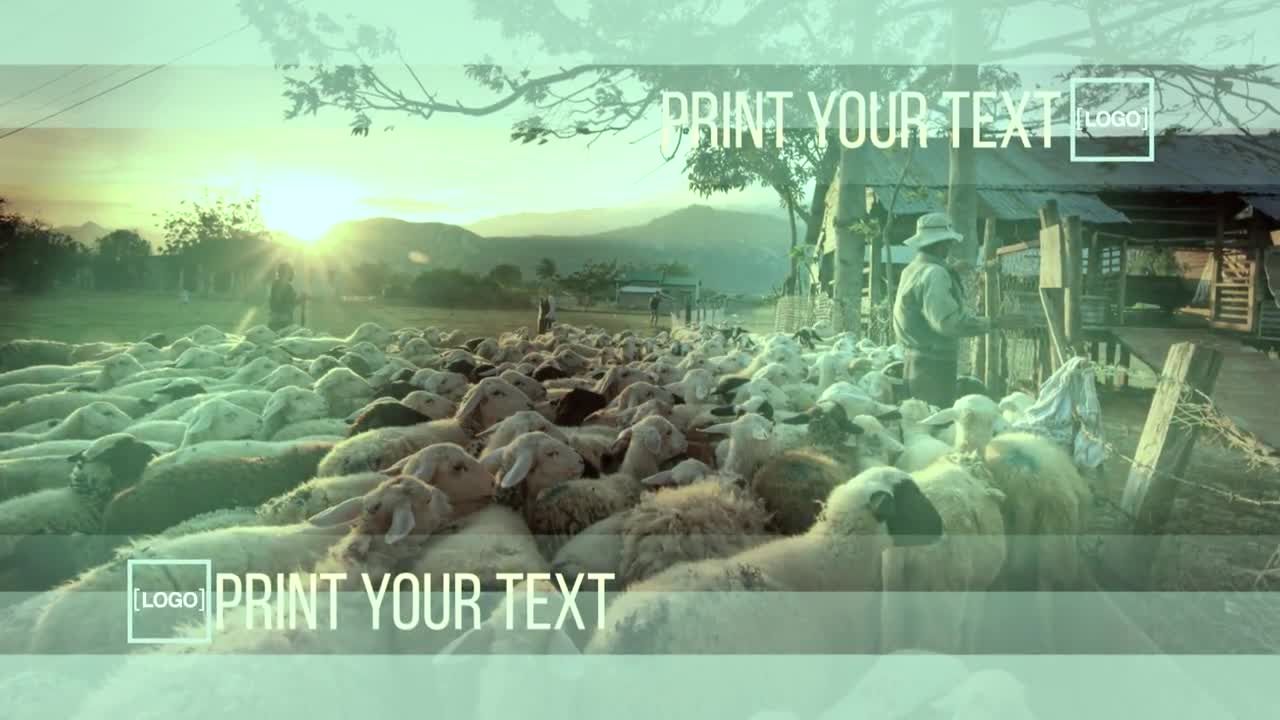 时尚设计流畅过渡炫酷开场素材库精选AE模板