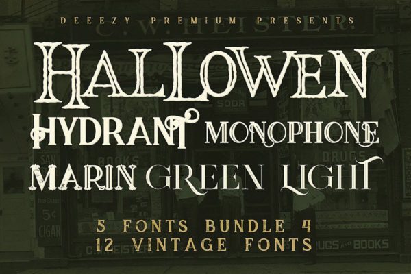 复古风格衬线英文字体合集下载 5 Fonts Bundle 4