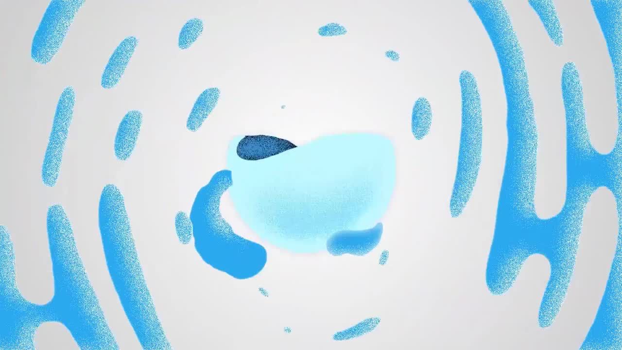 干净简洁的素材库精选AE模板