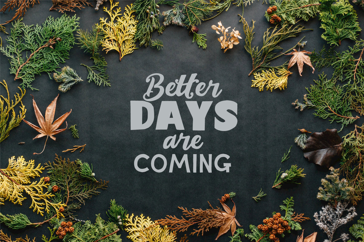 Hasta La Vista Font Family插图4