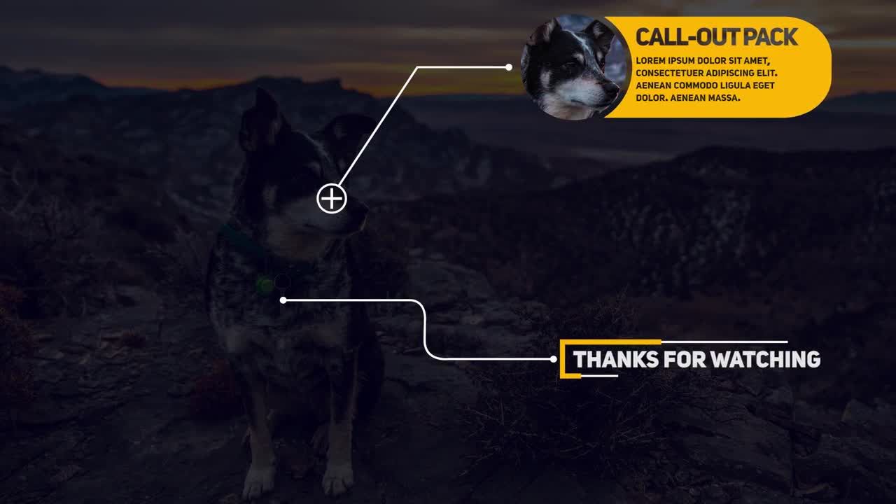 12个动画标注标题素材库精选pr模板