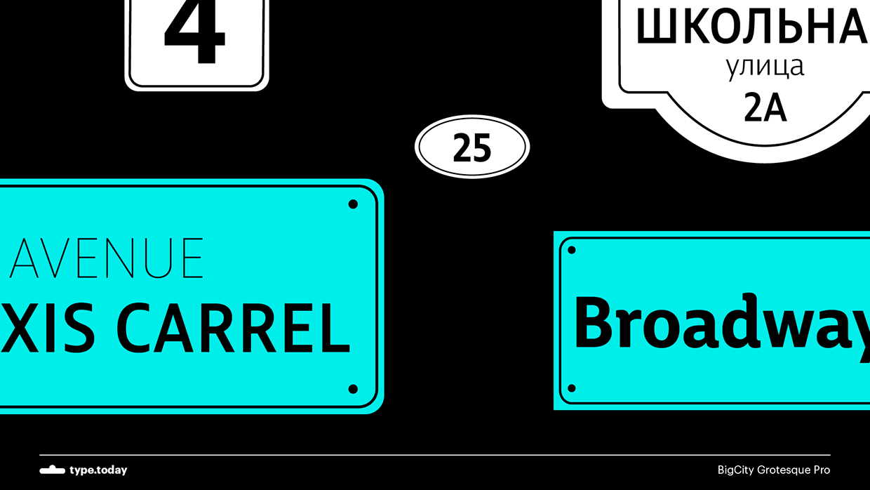 BigCity Grotesque Pro Font Family插图6