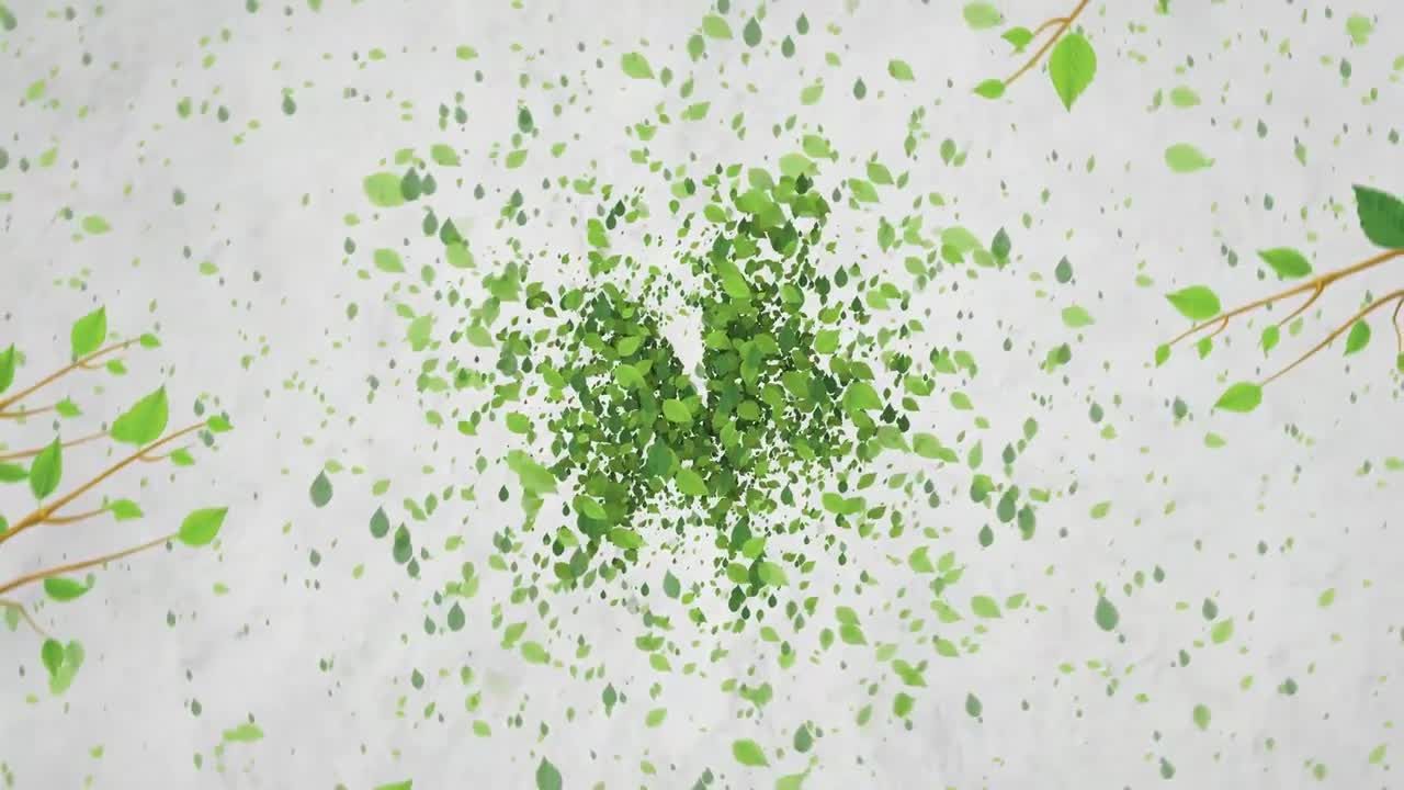 绿色生态徽标显示素材库精选AE模板