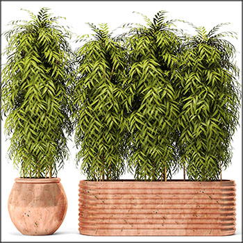 铜制花盆里的竹子素材之家精选3D模型哦