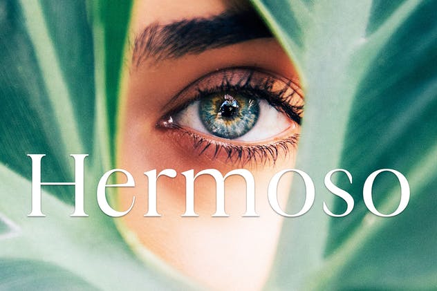 现代极简英文版式设计衬线字体 Maiah Serif Font Family Pack插图(7)