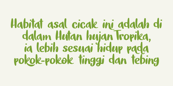 Tokeh Font Family插图1