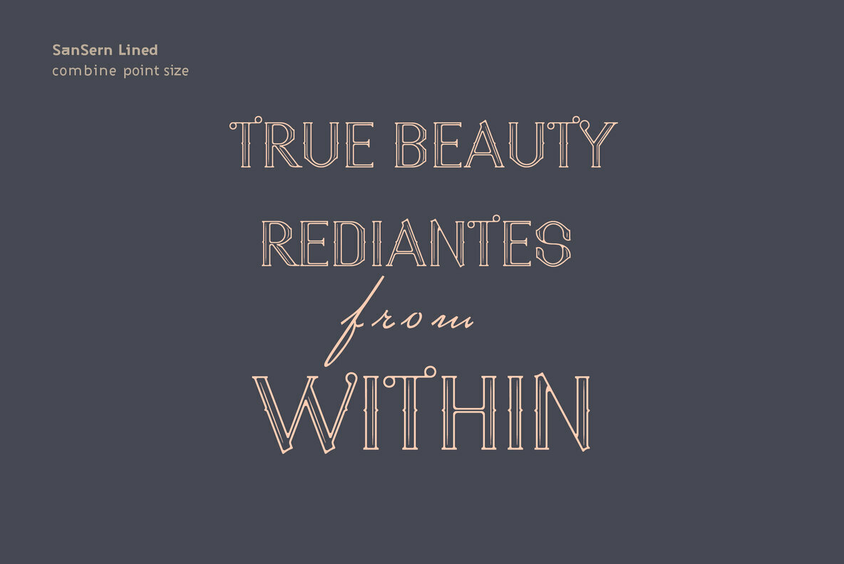 SanSern Font Family插图3