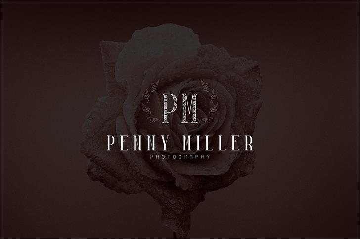 Desislava Ornament font插图4