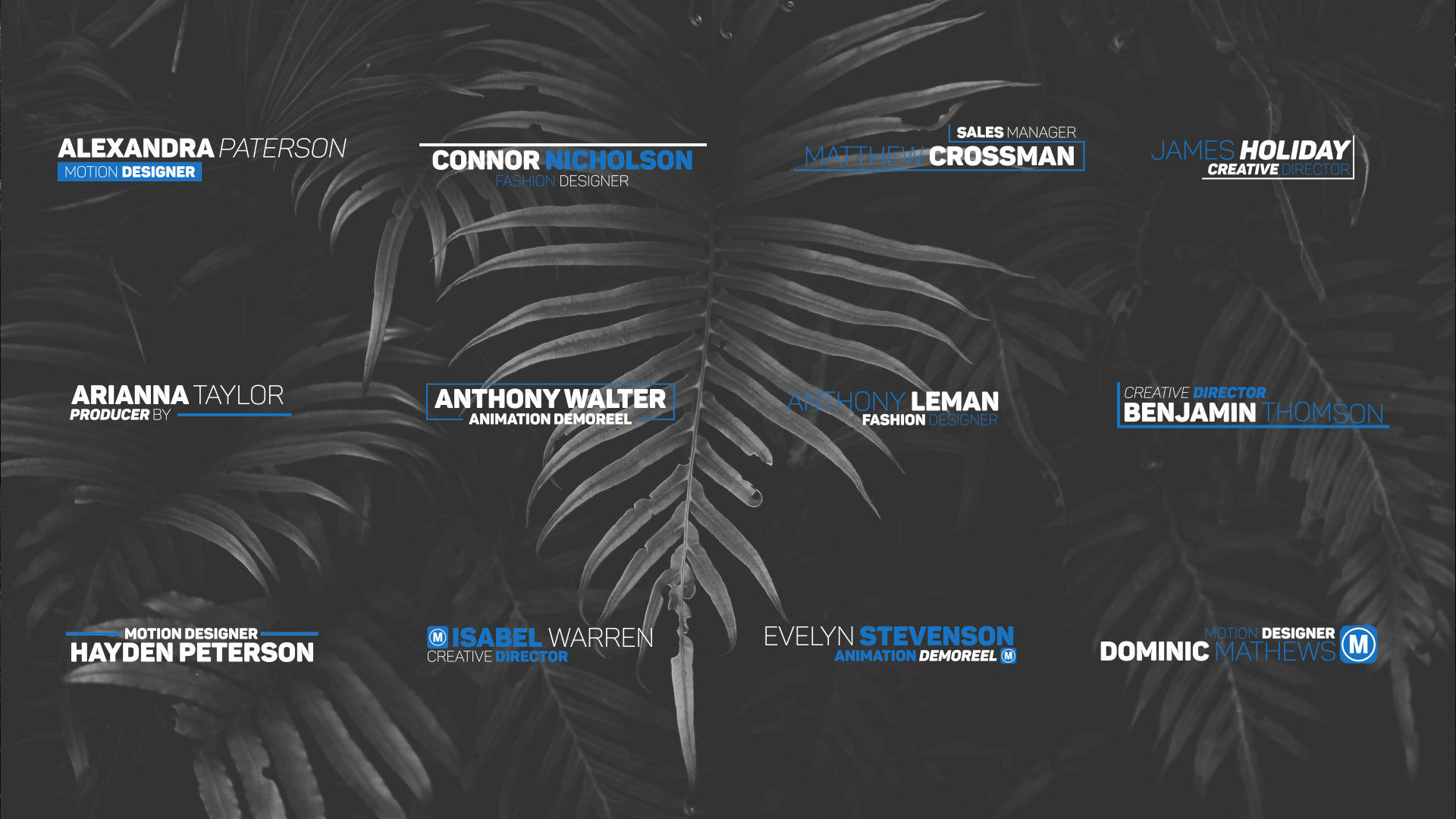 12个带有全屏字幕的创意动画视频素材库精选AE模板