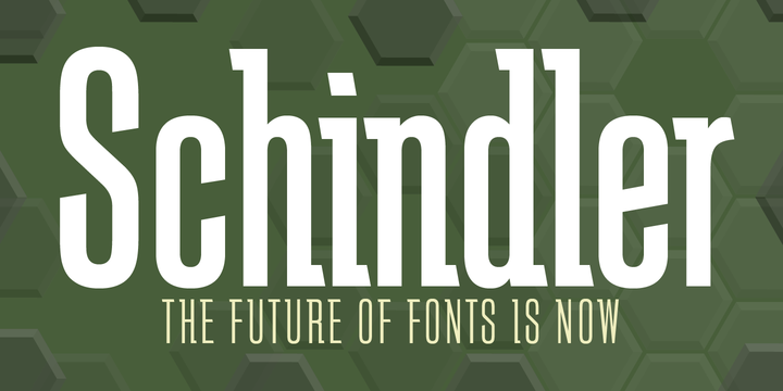 Schindler Font Family素材之家精选英文字体