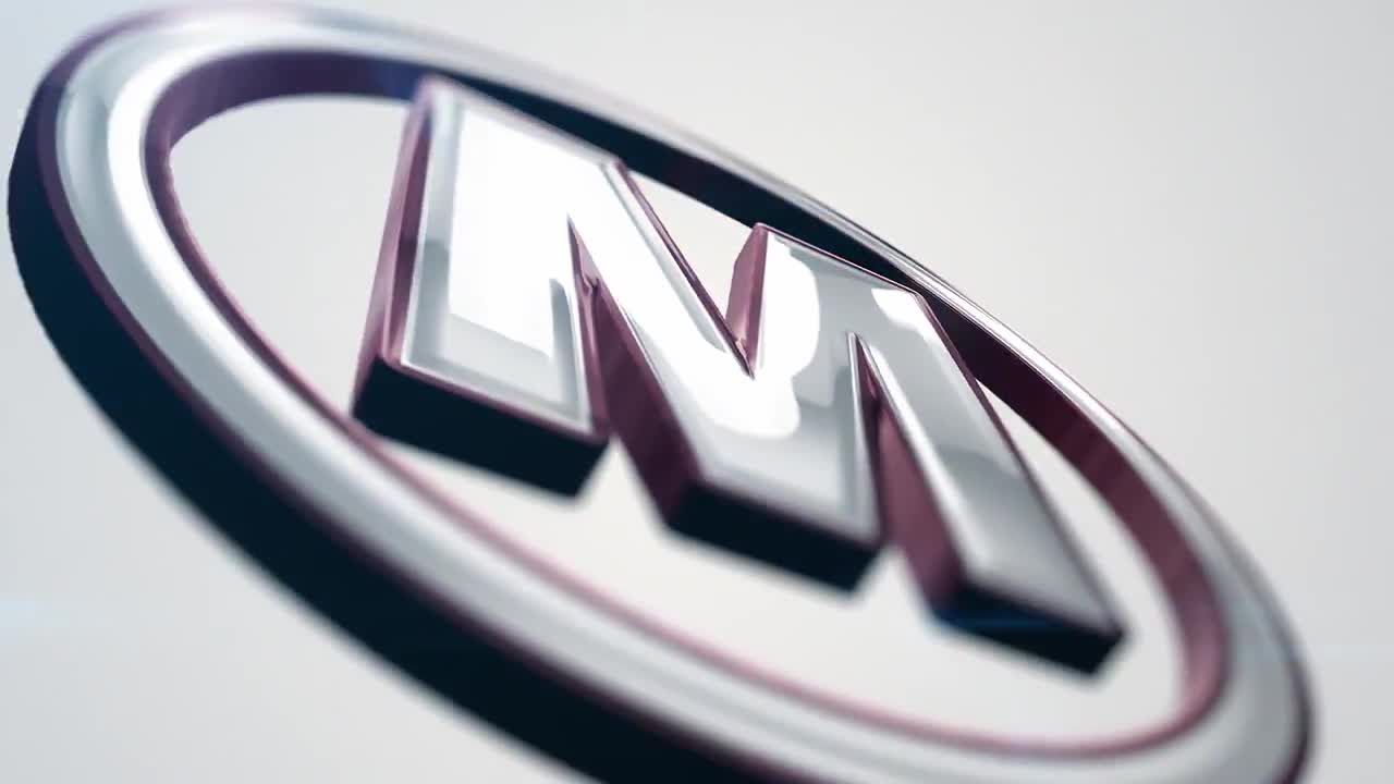 简洁清洁徽标显示素材库精选AE模板