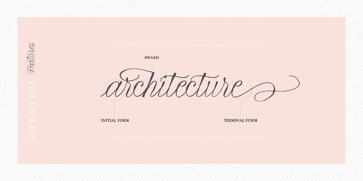 La Bodeguita Font Family插图4