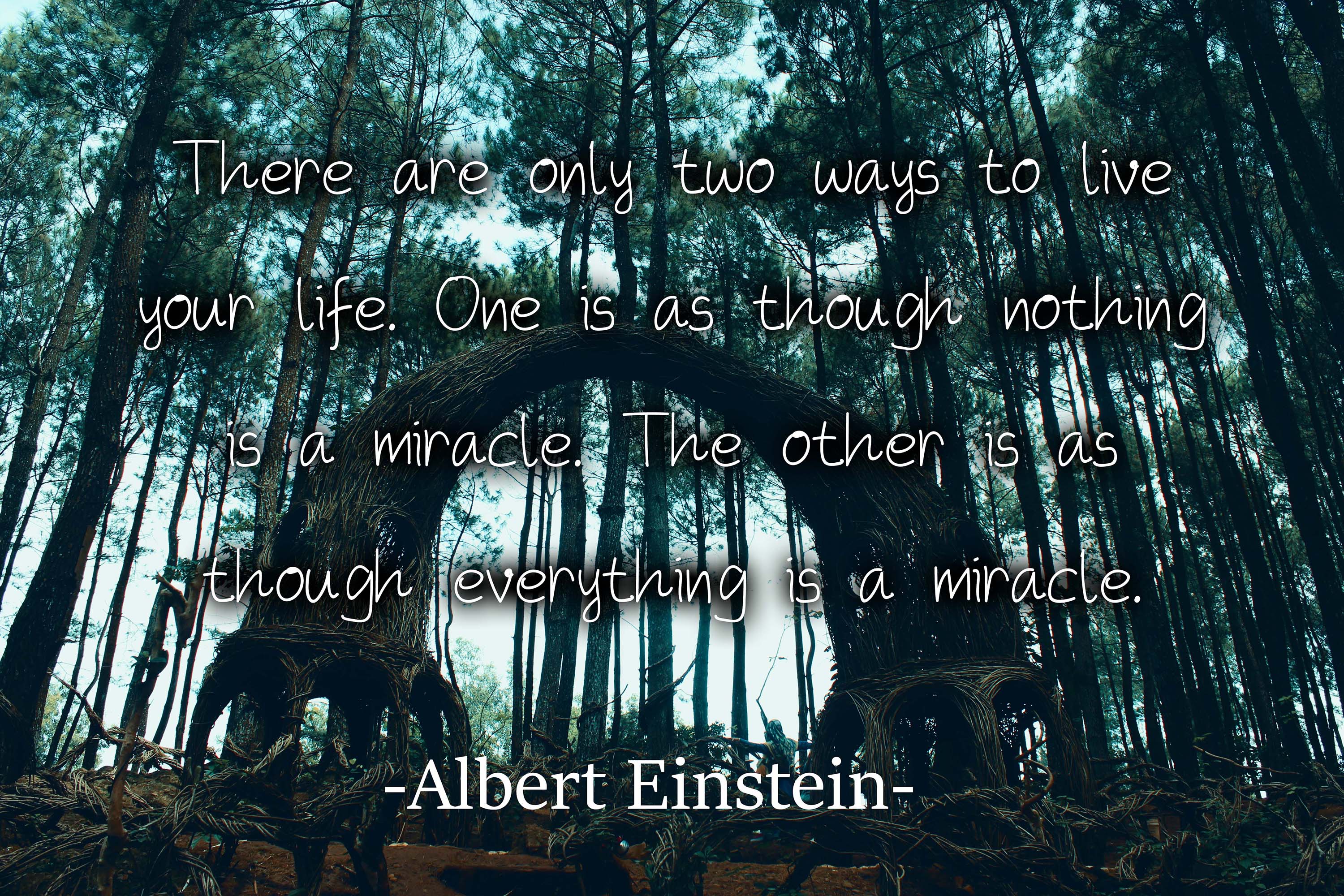 The Ninth Valley Other Font插图2