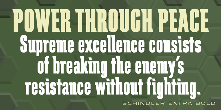 Schindler Font Family插图3