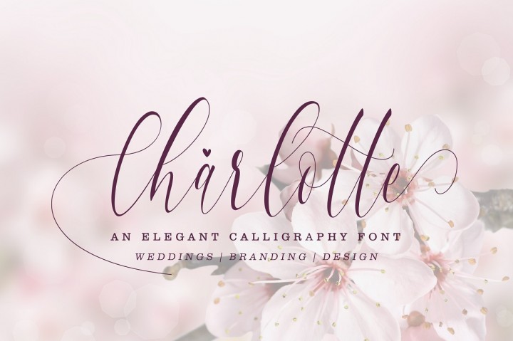 Charlotte Calligraphy素材之家精选英文字体