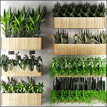 北欧壁挂绿色花盆组合素材之家精选3D模型