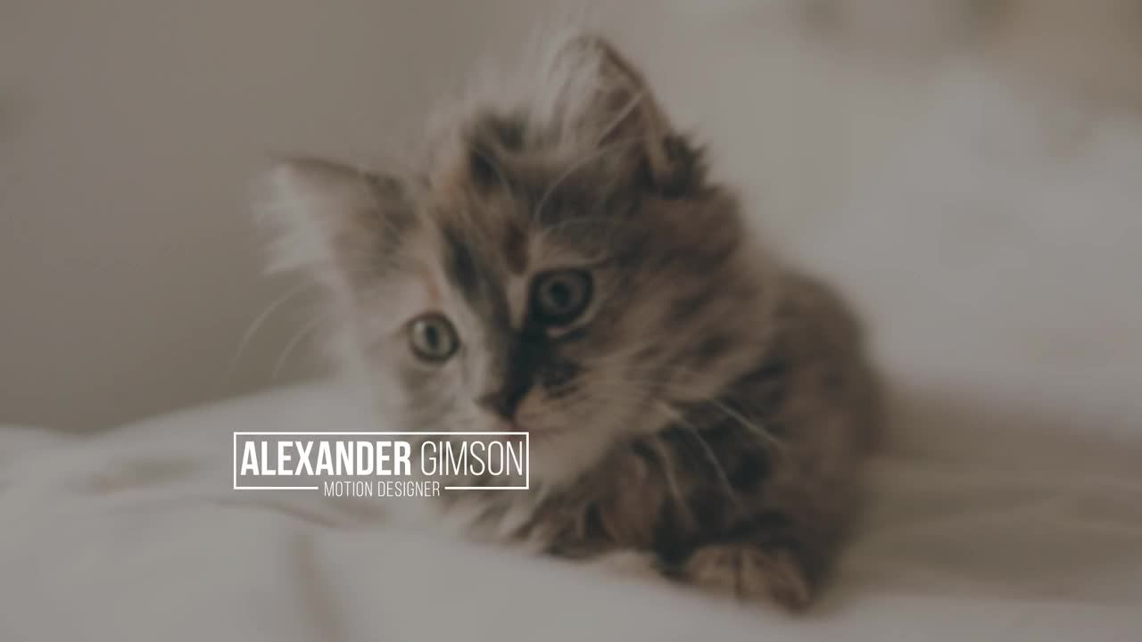 12个降低三分之二小标题素材库精选AE模板