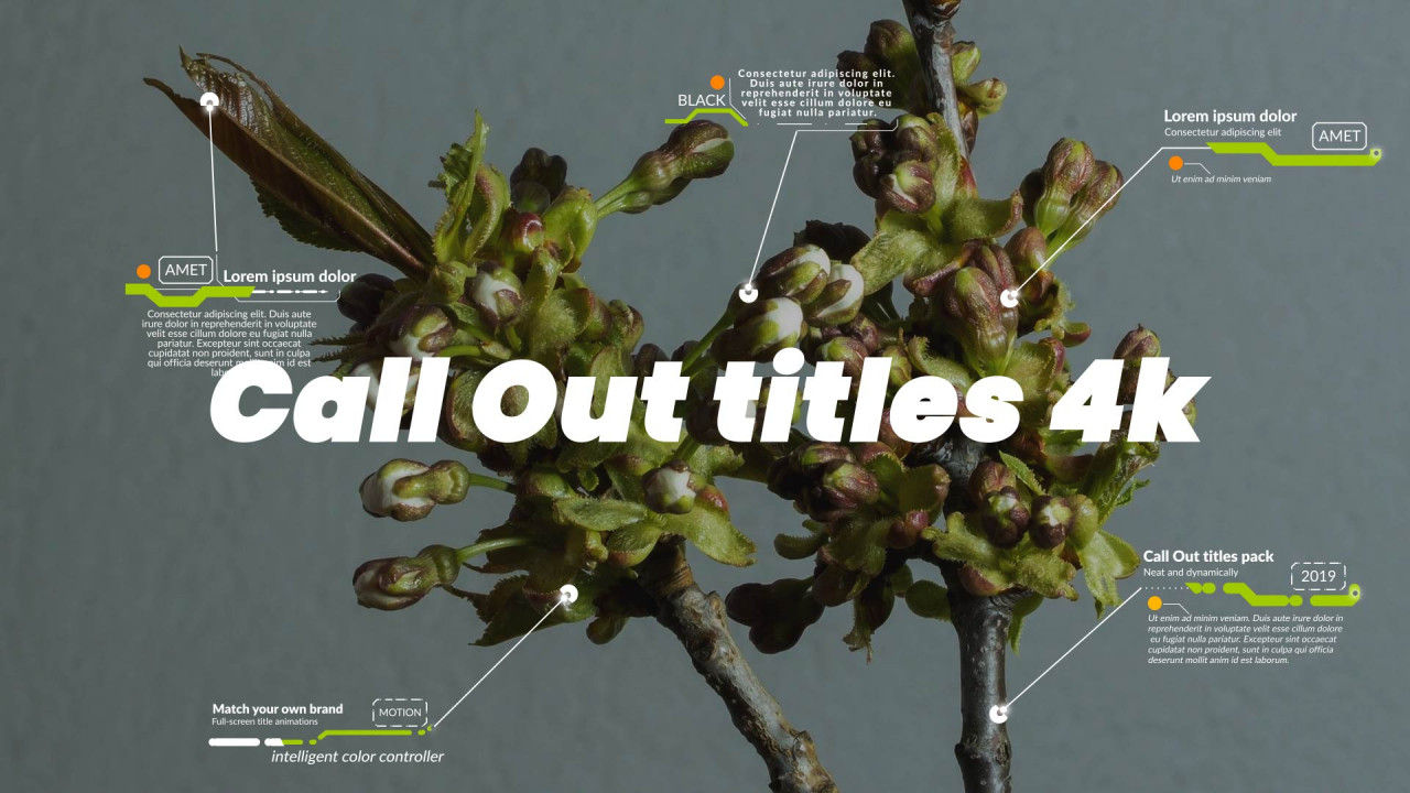 10组4K全屏标题动画视频特效素材库精选AE模板