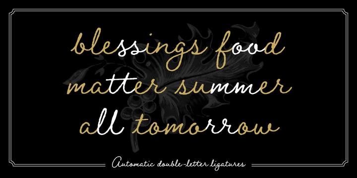 Braisetto Font Family插图2